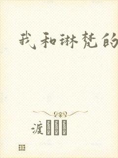 我和琳梵的故事封面