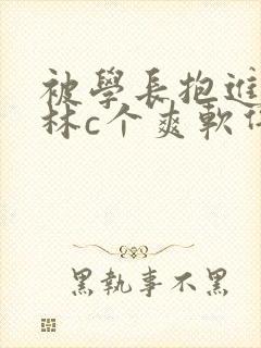 被学长抱进小树林c个爽软件