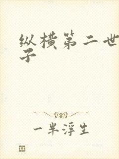 纵横第二世界宽子