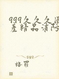 999久久久国产精品消防器材