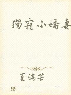 独宠小娇妻