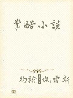 掌酷小说