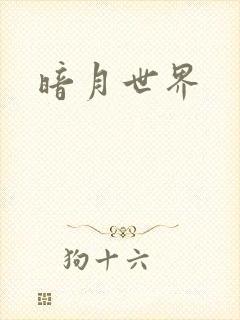 暗月世界