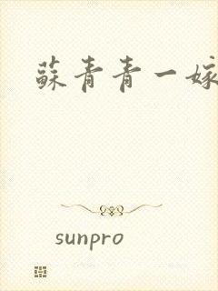 苏青青一嫁三夫