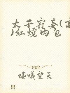 太子宠妾(高肉)红烧肉包