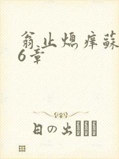 翁止熄痒苏玥第6章