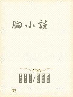 胸小说