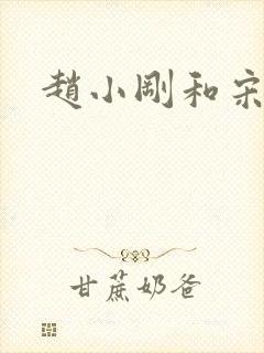 赵小刚和宋雨晴