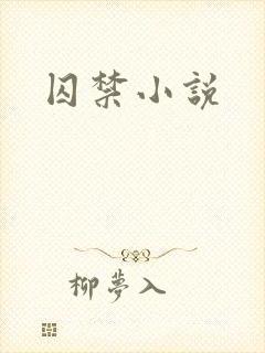 囚禁小说
