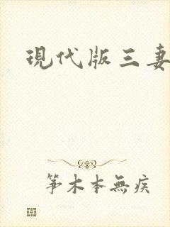 现代版三妻四妾