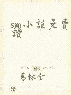 sm小说免费阅读