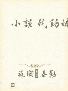 小说 我的娇妻
