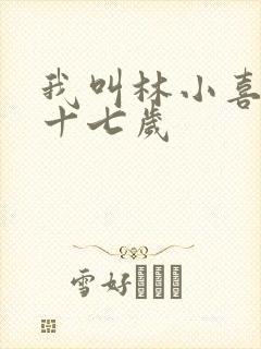 我叫林小喜今年十七岁