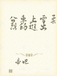 公车上雪柔被猛烈的进出