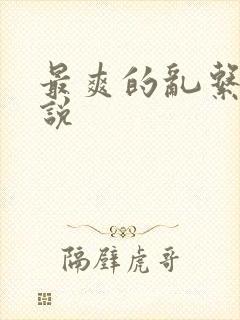 最爽的乱系列小说