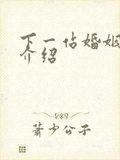 下一站婚姻剧情介绍