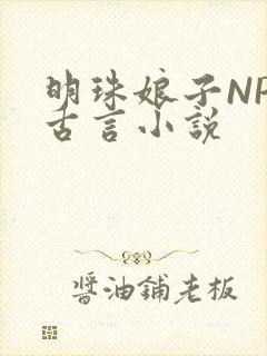 明珠娘子NPC古言小说