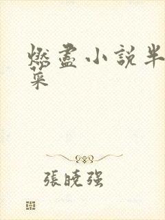 燃尽小说半截白菜