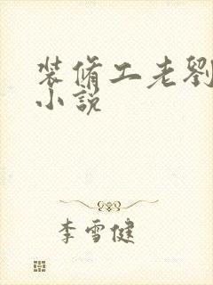 装修工老刘林雪小说