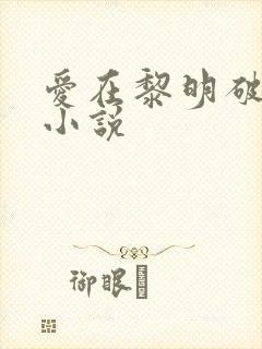爱在黎明破晓前小说
