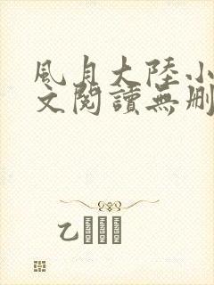 风月大陆小说全文阅读无删减封面