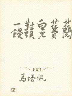 一对白花花的大馒头免费阅读