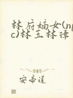 林府嫡女(npc)林玉林璋