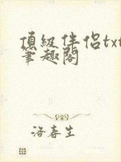 顶级伴侣txt笔趣阁