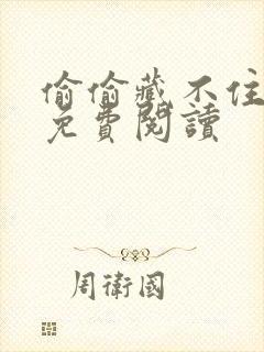 偷偷藏不住小说免费阅读