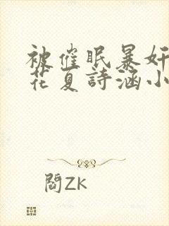 被催眠暴奸的校花夏诗涵小说封面