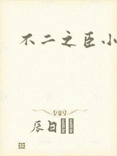 不二之臣小说