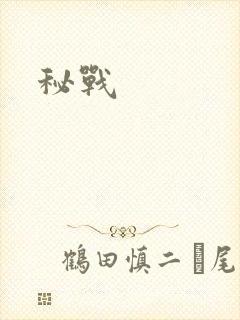 秘战
