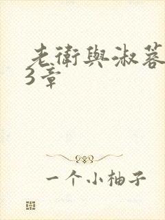 老卫与淑蓉第13章