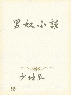 男奴小说