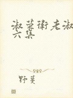 淑荣卫老淑荣第六集