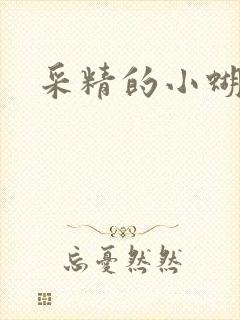 采精的小蝴蝶
