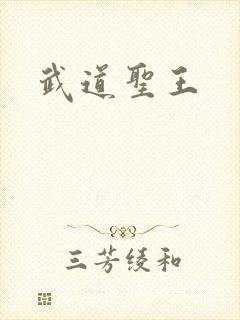 武道圣王