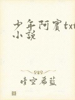 少年阿宾txt小说