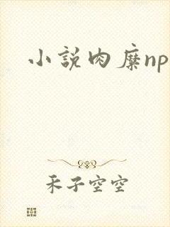 小说肉糜np