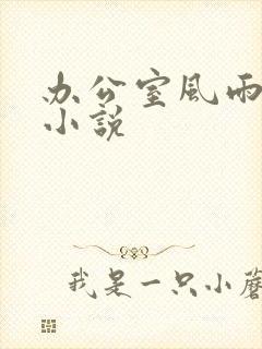 办公室风雨完整小说