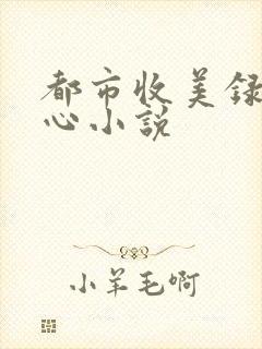 都市收美录宁素心小说