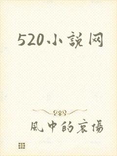 520小说网