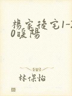 杨家后宅1-20暖阳