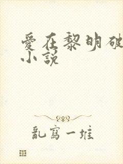 爱在黎明破晓前小说封面