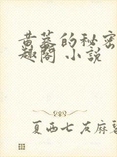 黄蓉的秘密 笔趣阁 小说