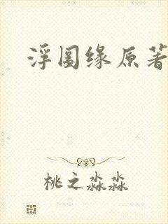 浮图缘原著小说