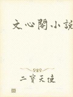 文心阁小说