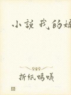 小说 我的娇妻