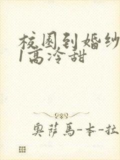 校园到婚纱1V1高冷甜