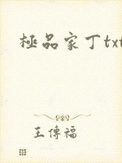 极品家丁txt